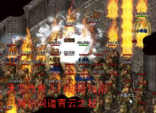 ڴŽָϣʵ֮