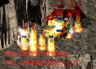 µְҵ195ַǿؼ󹫿