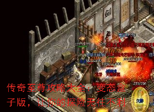 Դȫ̬Ӱ棬̽