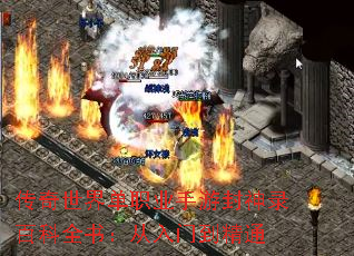 絥ְҵη¼ٿȫ飺ŵͨ