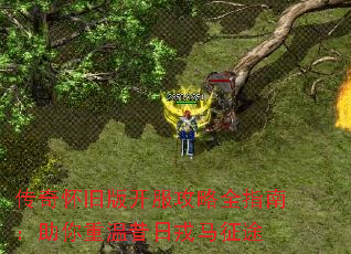 滳ɰ濪ȫָϣ;