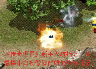 硷ָ¶С׵Ⱥ۵ռؼ