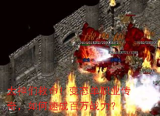 Ǿְ̬ҵ棬ٳɰս