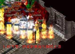 1.85棺صİʤ֮