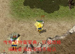 ﵰ䣺ԣǿսؾ