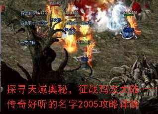 ̽Ѱأս귨½2005