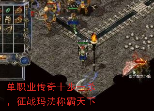 ְҵʮһɱս귨ư