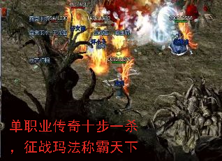 ְҵʮһɱս귨ư
