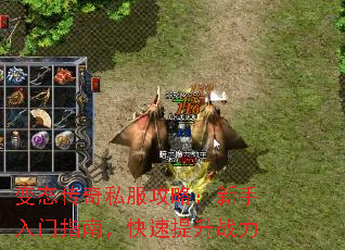 ̬˽ԣָϣս