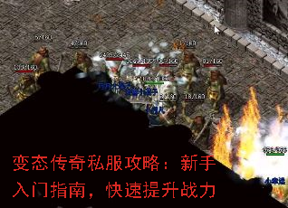 ̬˽ԣָϣս