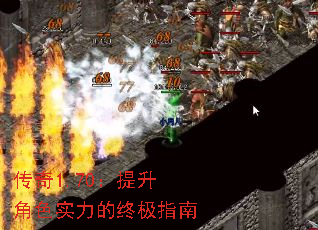 1.70ɫʵռָ