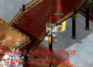 ɱʵս׹ԣͻƲ컨