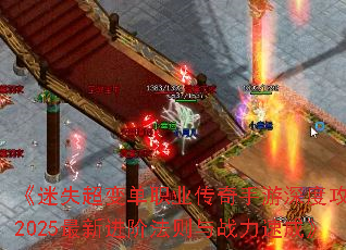 ʧ䵥ְҵȹԣ2025