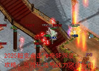 2025ϻSFȹԣ߽淨սͻָ