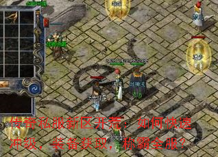 ˽ģοٳ弶װȡưȫ