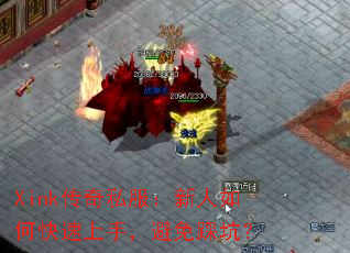 Xink˽ο֣ȿӣ
