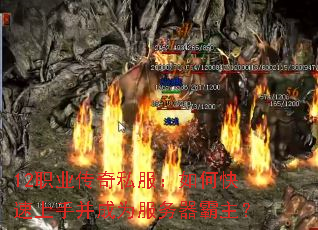12ְҵ˽οֲΪ