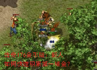 176Ұ棺οٻ۵һͰ