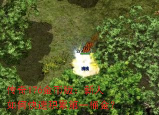 176Ұ棺οٻ۵һͰ