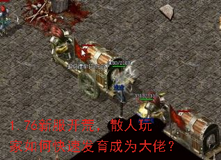 1.76·ģɢοٷΪУ