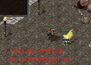 1.76ƷŴ˽ɢο𲽴