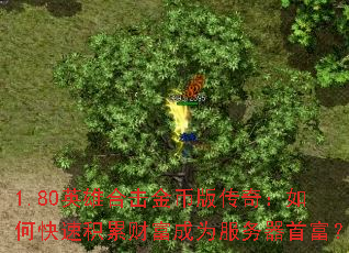 1.80ӢۺϻҰ洫棺οٻ۲ƸΪ׸