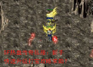 SFѪ˽ֿ򱦹