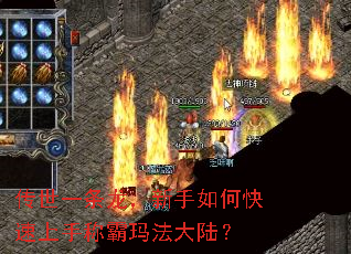 һοֳư귨½