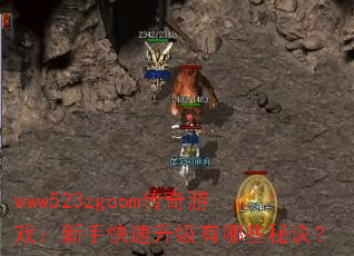 www523zgcomϷֿЩؾ