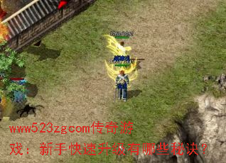 www523zgcomϷֿЩؾ