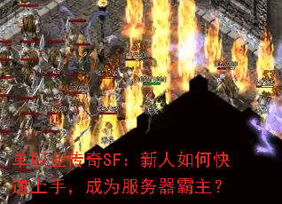 ְҵSFο֣Ϊ