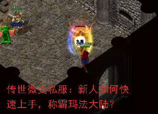 ΢˽ο֣ư귨½
