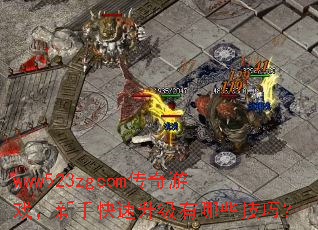 www523zgcomϷֿЩɣ