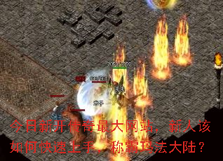 ¿վ˸ο֣ư귨½