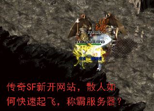 SF¿վɢοɣưԷ