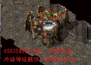 65535ⶥ棬οٳƵȼƿưԷ