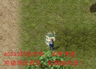65535ⶥ棬οٳƵȼƿưԷ