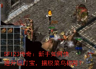 SF123棺ο򱦣Ѳƺţ