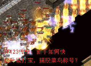 SF123棺ο򱦣Ѳƺţ