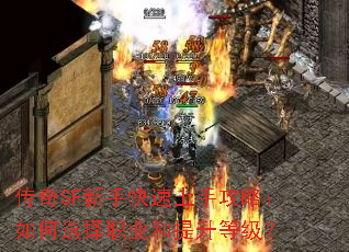 SFֹֿԣѡְҵȼ