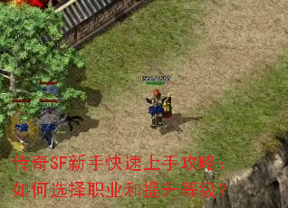 SFֹֿԣѡְҵȼ