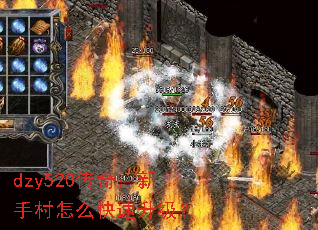 dzy520棺ִô