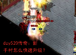 dzy520棺ִô
