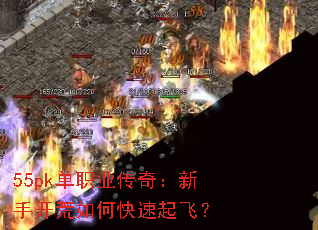 55pkְҵ棺ֿοɣ