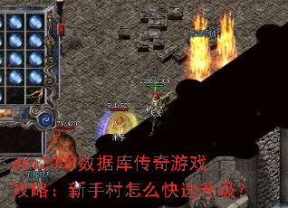dbc2000ݿ⴫Ϸԣִô