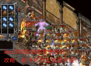 dbc2000ݿ⴫Ϸԣִô