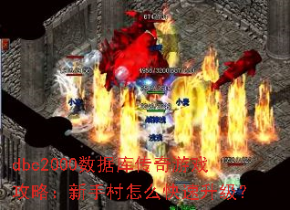 dbc2000ݿ⴫Ϸԣִô