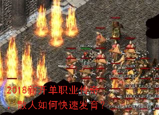 2018¿ְҵ棬ɢοٷ