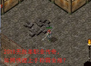 2018ⵥְҵ棬οֳưȫ