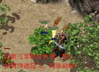80ŵְҵ棺ɢοɣʶ۷壿